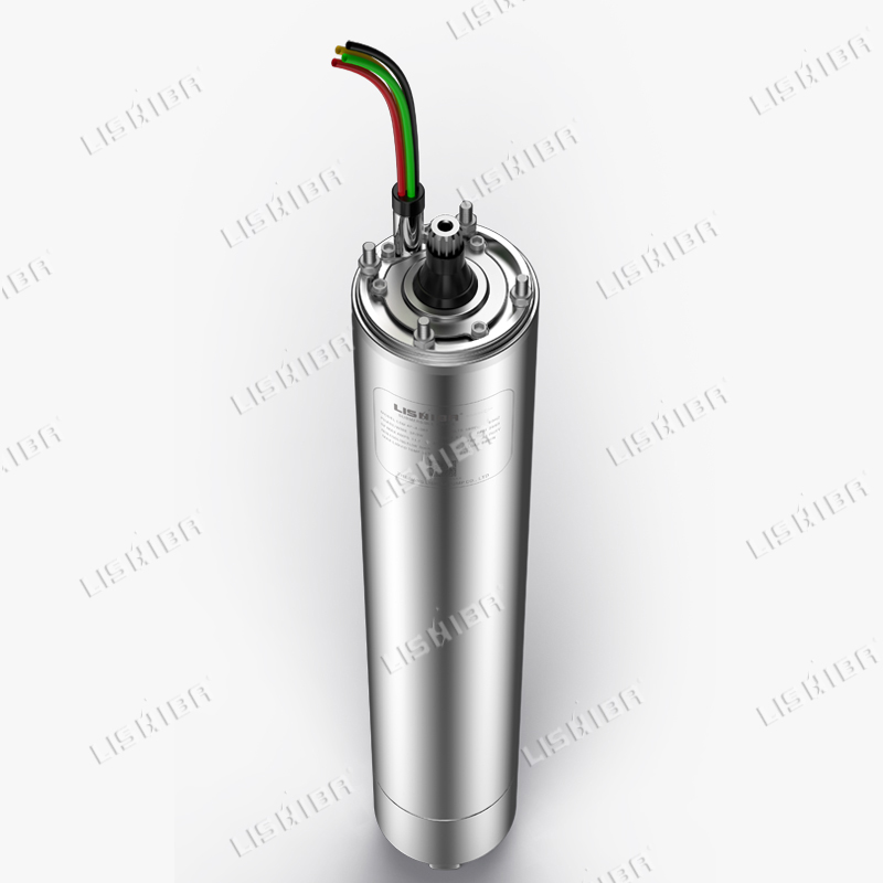 力士霸泵業(yè)詳解什么是潛水電機(jī),？(圖1)